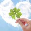 Góc Nhỏ Của Sách