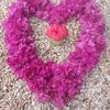 user2314080045823