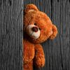 annumalik0080