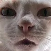 sinabawangiro_