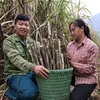 Vợ Chồng An Ba