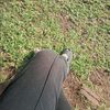 cici_2225