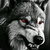 user3661410903695