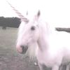 unicorn4life1234