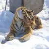 t1t092