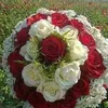 user6158209368629