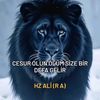 abdulbeyliio