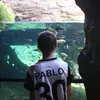 pablodlfm