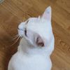userhemomo0647