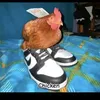 chicken_chickn