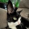 denysbackup_