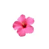 nask_121