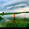 nay.lin.aung2055