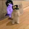 chad_983