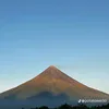 vmayon2