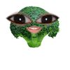nn4omlvz