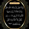 fatiya2243