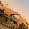 yosif531