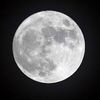 mercialmoon