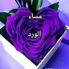 aishesuleman1