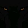 hichem_mk31