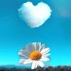 gece_misali_xl