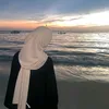 nn_12313