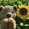 ddiaries01