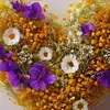 aline02051005