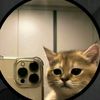 thaski_g