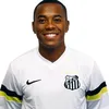 robinho496