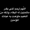 user8797613811852