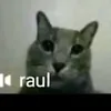 eliash631