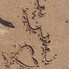 nisreen.naser