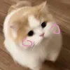 minhduc180309