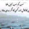 bisha.aamir
