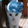 lilybethalvarez5
