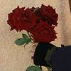ghadeer_jml313