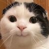 mie.oulayvan0708