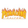 PEMALANGKALCER