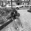 Cái gì cũng Văn Trường..
