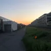 colin_8645