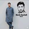 Malik Hassan Abbas official