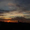 sj_aldr