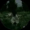 _qwhn.thiiez_56