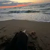 amina_553__