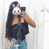 s0wzinh4.0