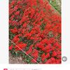 user30447206176245