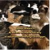 mycatranch