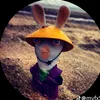hsivox